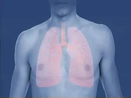 Gif animado creado a partir de un segmento de vídeo de "Viviendo con Asma", película educativa del Instituto Nacional de Salud de los EEUU