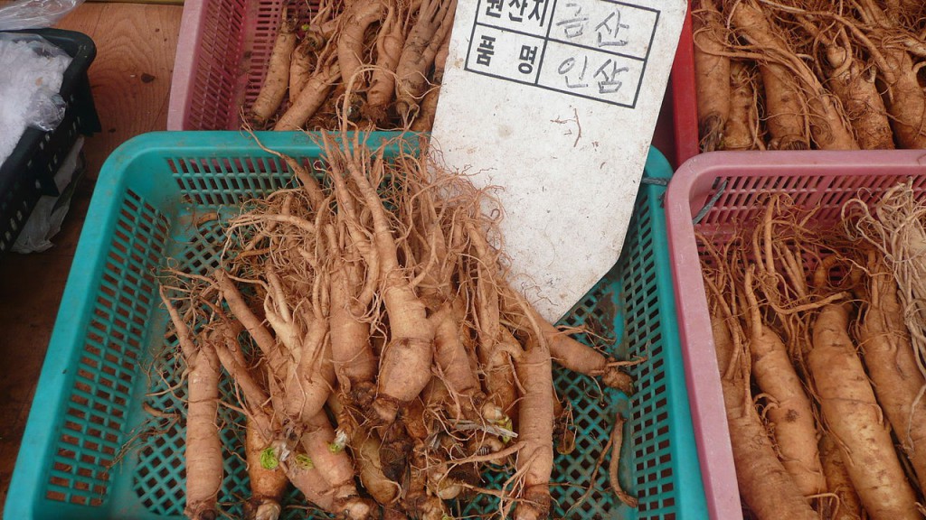 Raíz de Ginseng. Foto: Brucke Osteuropa (licencia CC)