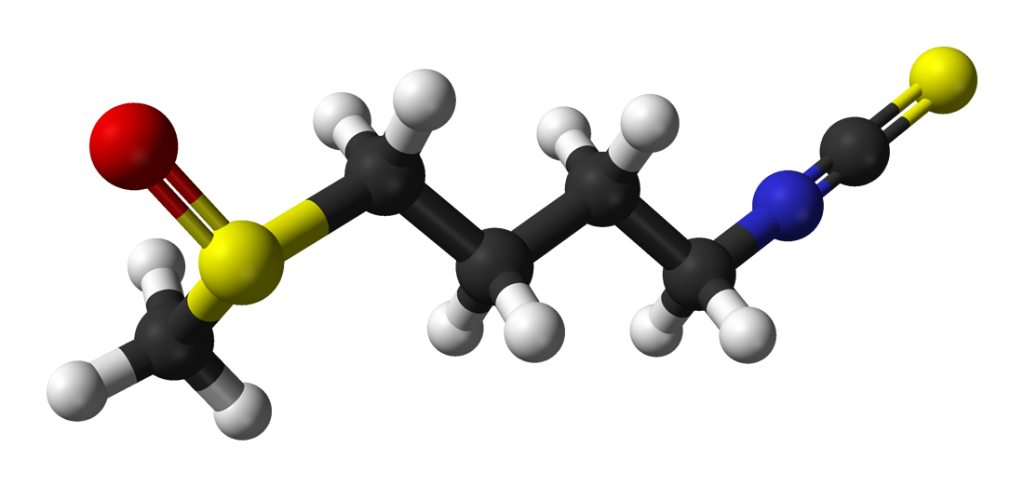 Estructura tridimensional del sulforafano