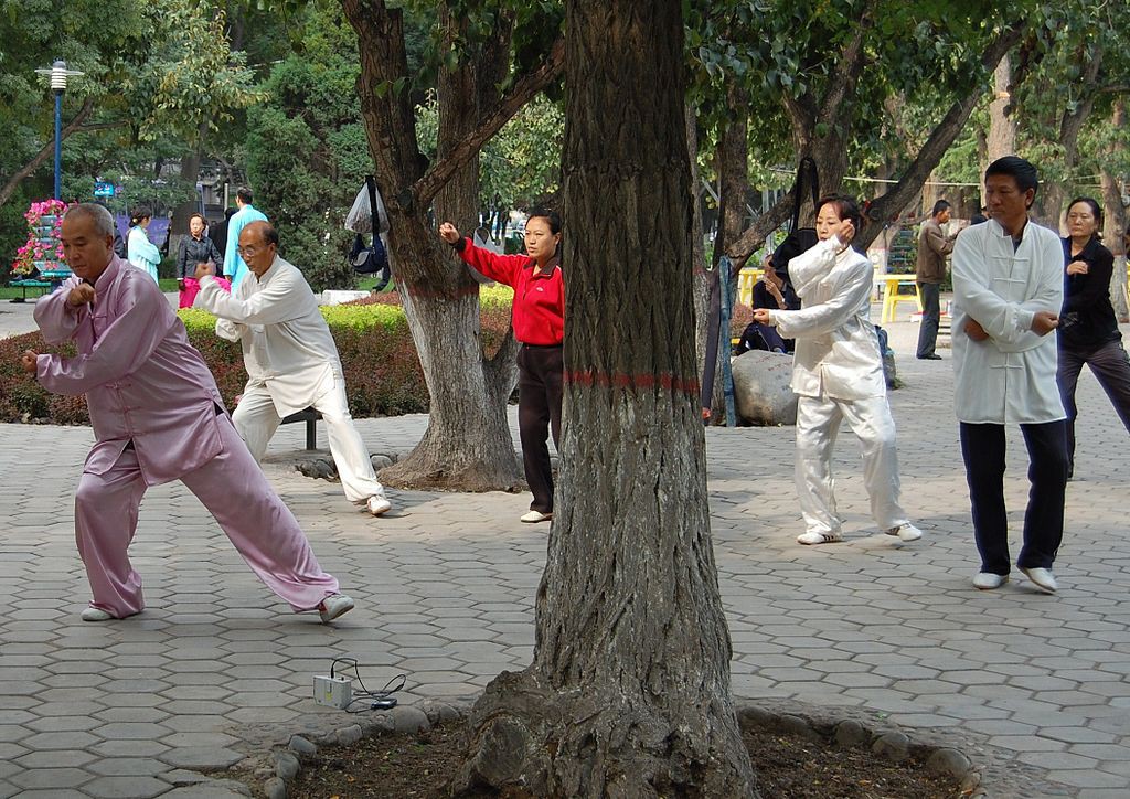 Practicando Tai chi. Foto: Sigismund von Dobschütz (licencia CC)