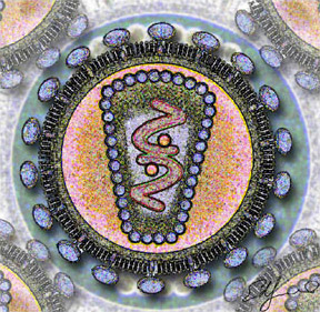Representación del virus de la inmunodeficiencia humana. Ilustración: Los Alamos National Laboratory (licencia CC)