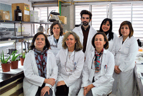 El grupo de investigación Plantas Medicinales de la Universidad de Sevilla, liderado por la catedrática de Farmacología Dolores García.