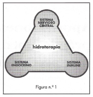 Figura 1.