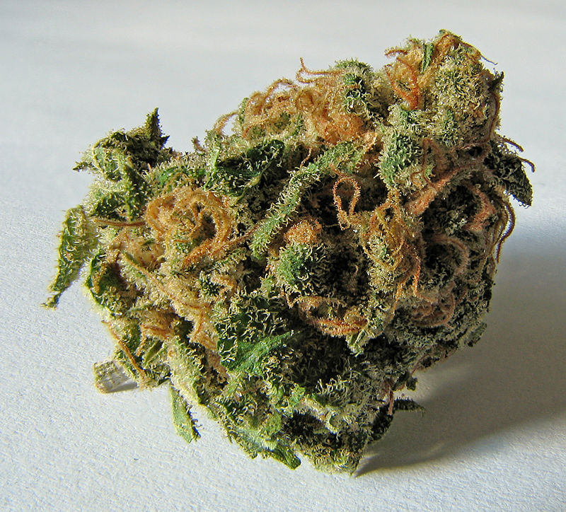 Cannabis_brote-Ryan Bushby