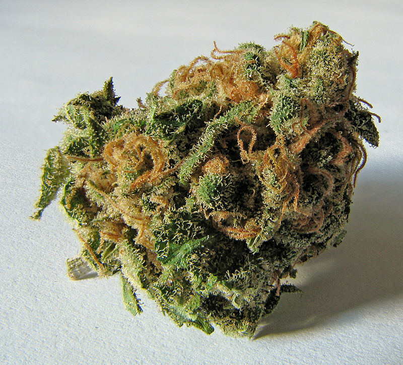 Cannabis_brote-Ryan Bushby