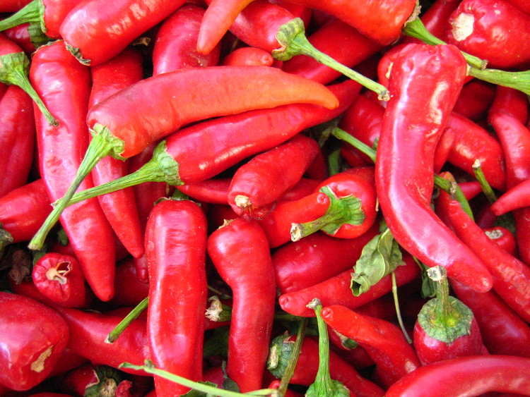 Pimiento picante. Foto: B. Vanaclocha