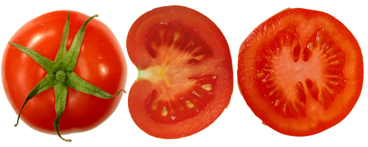 Tomate. Foto: FoeNyx