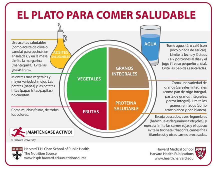 Plato-saludable